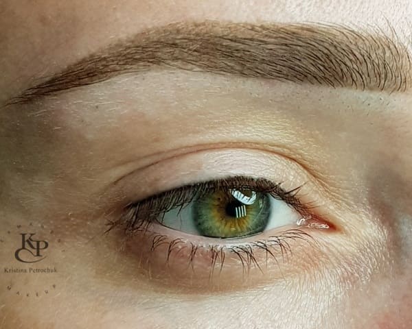 Пудровое напыление бровей зажившие брови через месяц